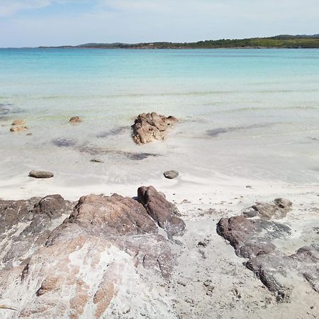 Ampio Trilocale Sul Golfo Di Marinella Villa Marinella  Bagian luar foto
